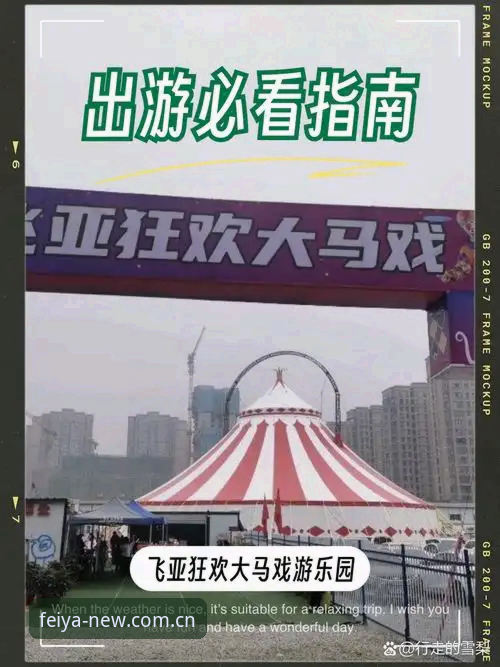 2026飞亚体育登录入口CN站新旧版本切换完整指南